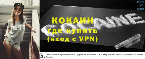 дурь Киреевск