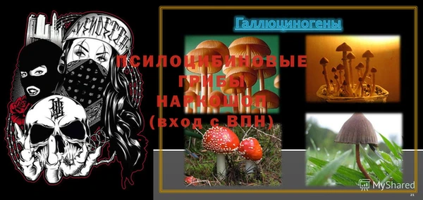 спиды Кинешма