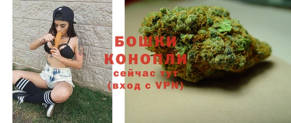 дурь Киреевск