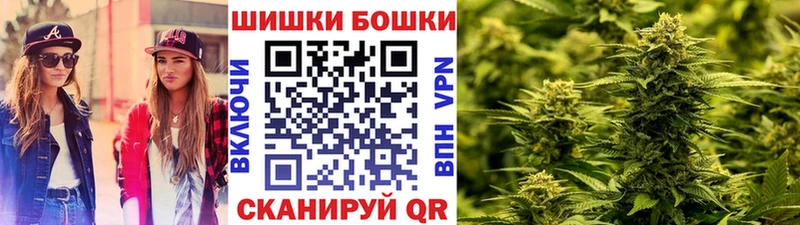 Бошки марихуана сатива  Купить закладки  Заозёрск 